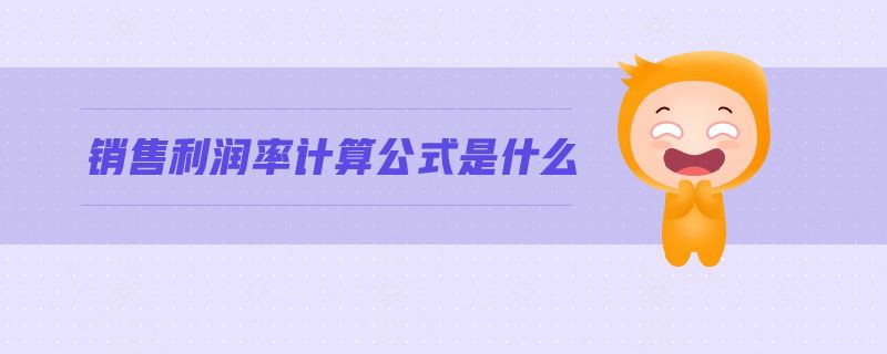 銷售利潤(rùn)率計(jì)算公式