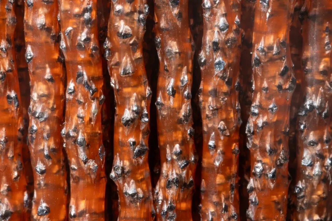 磨料絲細節(jié)